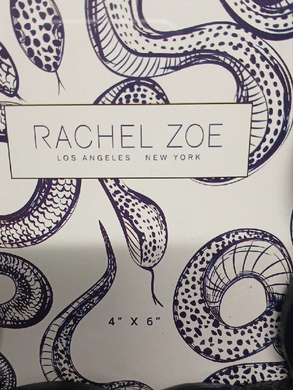 Rachel Zoe Black Snake Motif Gothic Halloween Picture Frame Suits 4